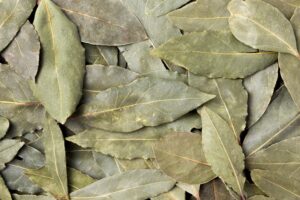 Turkish vs California Bay Leaves in Seasoning